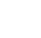 Hero item icon