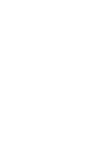 Vector_c84cdd8e8e.webp